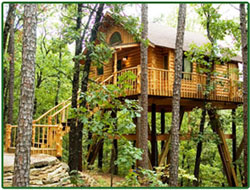 Treehouse Lodging