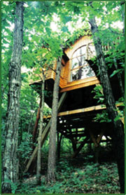 Cottages in Treehouses